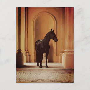 Elegant Black Horse in Golden Archway Postcard