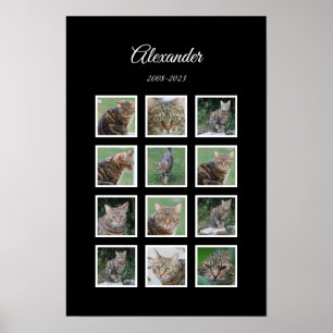 Elegant Black Pet Poster with 12 Photo Slots