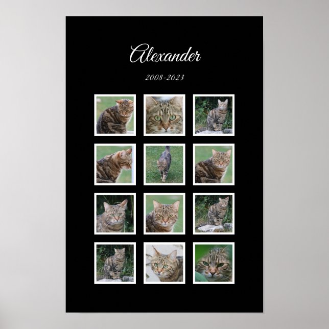 Elegant Black Pet Poster with 12 Photo Slots (Front)