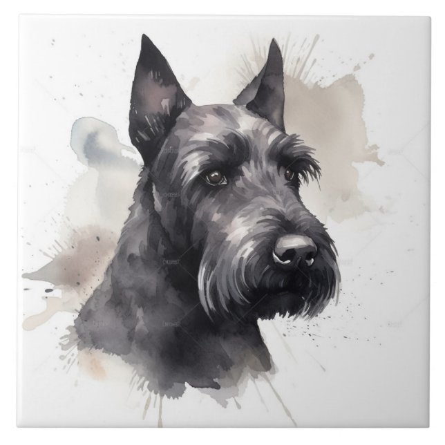 Elegant Black Scottish Terrier Dog Pet Ceramic Tile (Front)