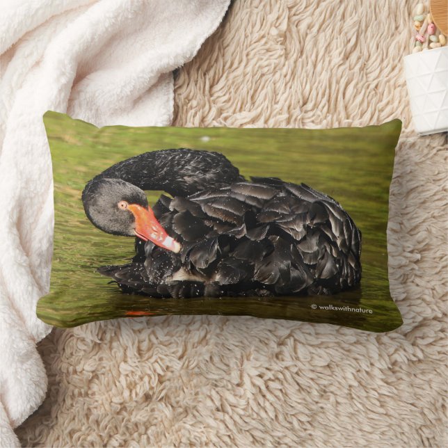 Elegant Black Swan Preening in the Pond Lumbar Cushion (Blanket)