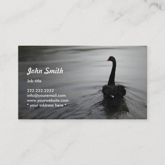 Elegant Black Swan Swimming on a Lake Profile Card (Front)