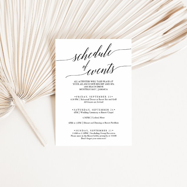 Elegant Black Wedding Weekend Schedule of Events Enclosure Card (Creator Uploaded)