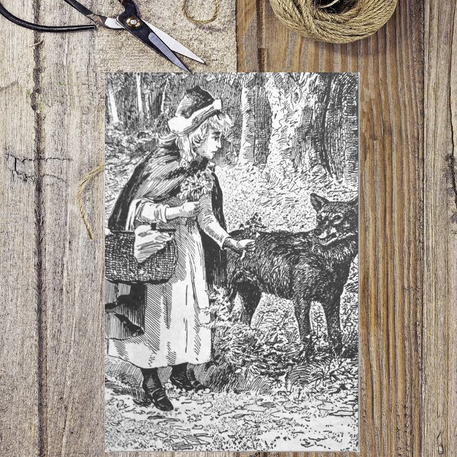 Elegant Black White Drawing Red Riding Hood Wolf Tissue Paper (Vintage black white Little red riding hood in woods with wolf on tissue paper.)