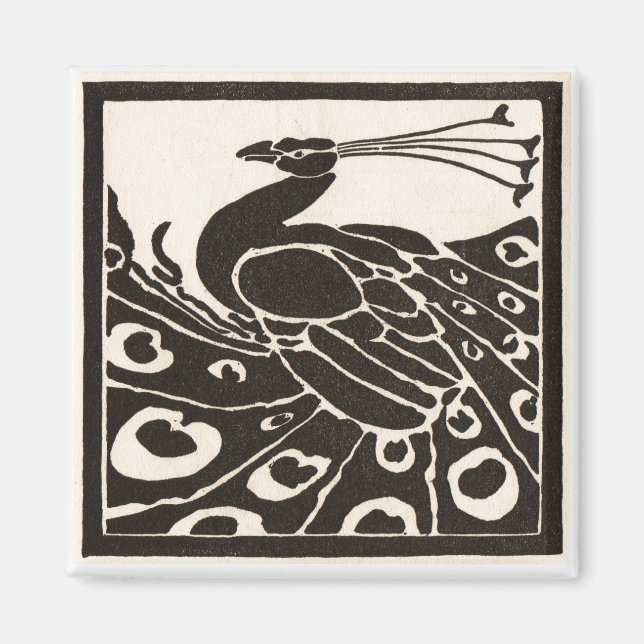 ELEGANT BLACK WHITE PEACOCK MAGNET (Front)