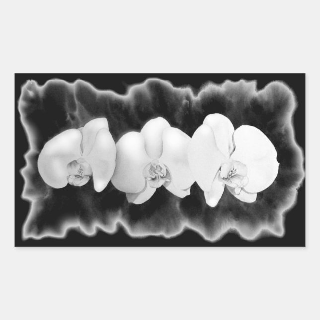 Elegant black white tropical orchids floral rectangular sticker (Front)