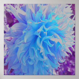 Elegant Blue Decorative Dahlia Flower Poster