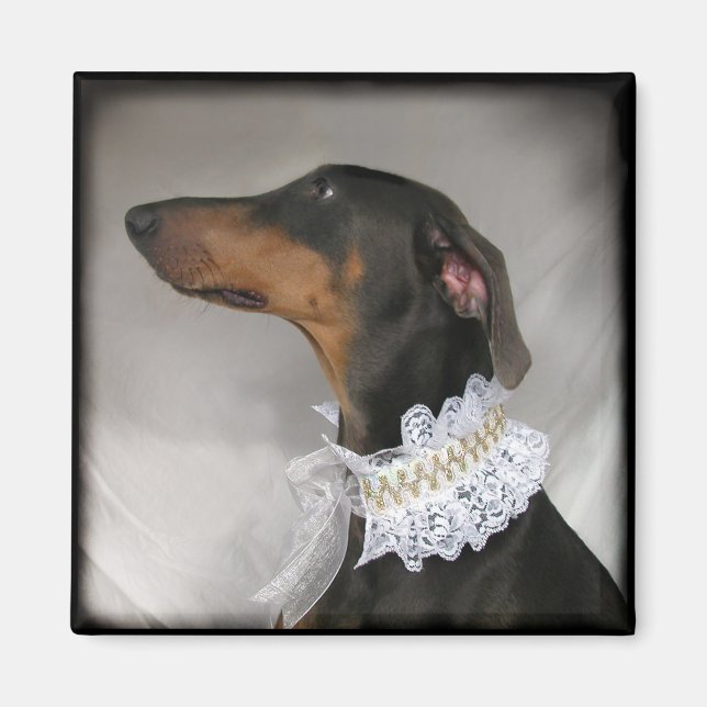 Elegant blue Doberman Pinscher Magnet (Front)