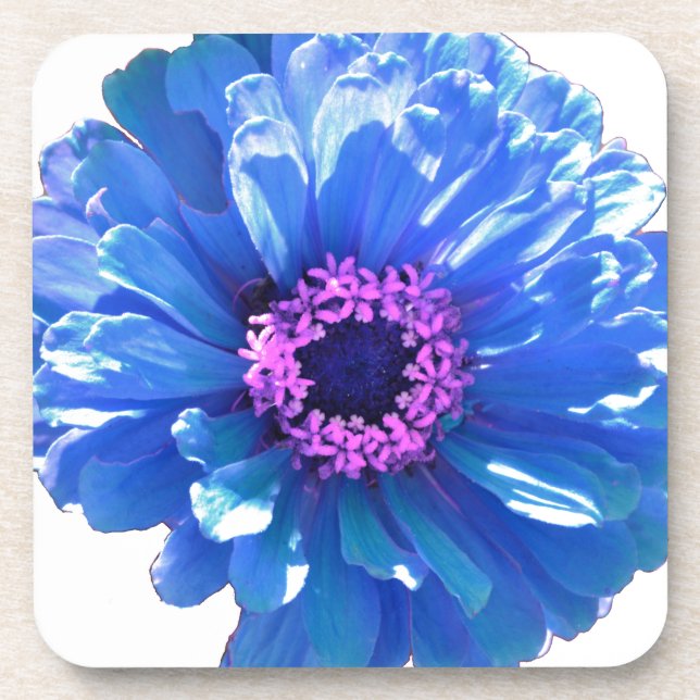 Elegant blue floral blue daisy coaster (Front)