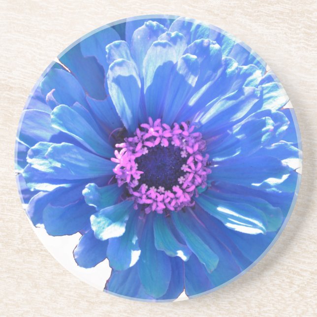 Elegant blue floral blue daisy coaster (Front)