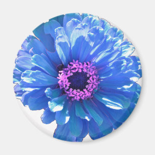 Elegant blue floral blue daisy magnet
