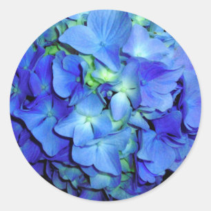 Elegant blue floral blue roses blue hydrangeas  classic round sticker
