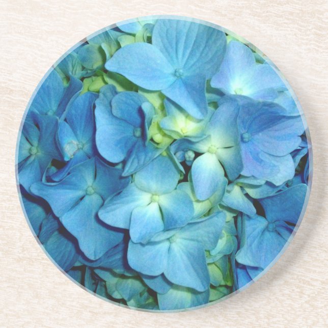 Elegant blue flower floral hydrangea   coaster (Front)