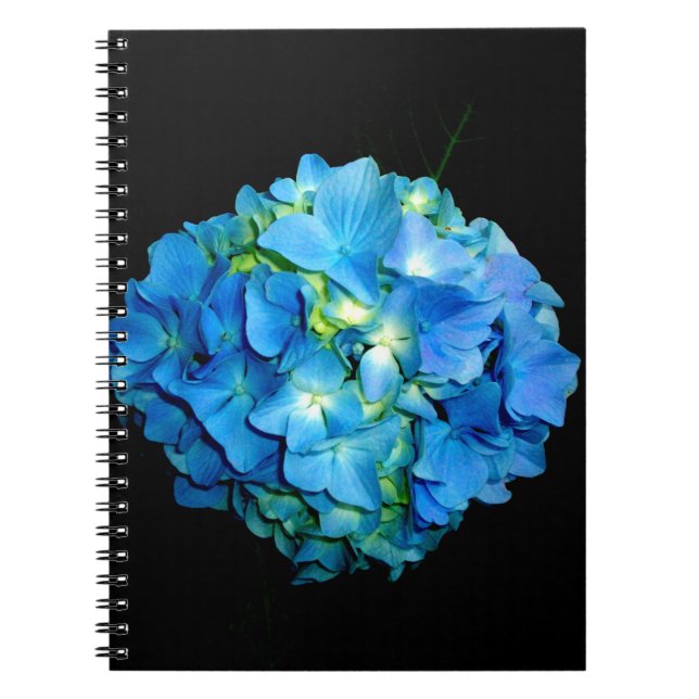 Elegant blue flower floral hydrangea   notebook (Front)