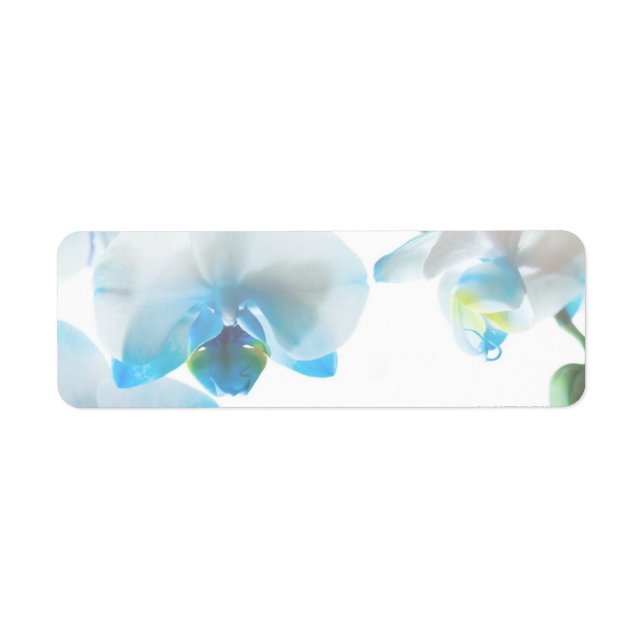 Elegant Blue Orchids Custom Labels (Front)