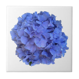 Elegant Blue periwinkle floral hydrangeas Ceramic Tile