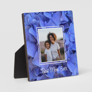 Elegant blue periwinkle floral hydrangeas plaque