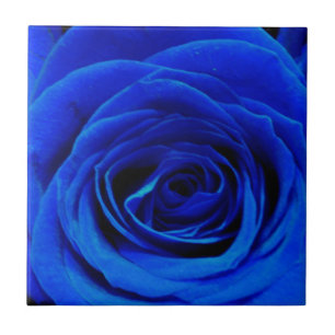 Elegant blue roses blue flowers blue floral tile
