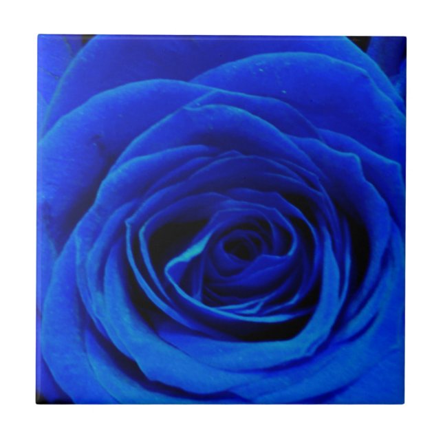 Elegant blue roses blue flowers blue floral tile (Front)