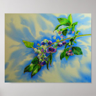 Elegant Blueberry watercolor painting Poster