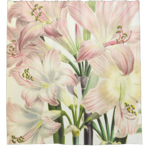 Elegant Blush Lilies Shower Curtain