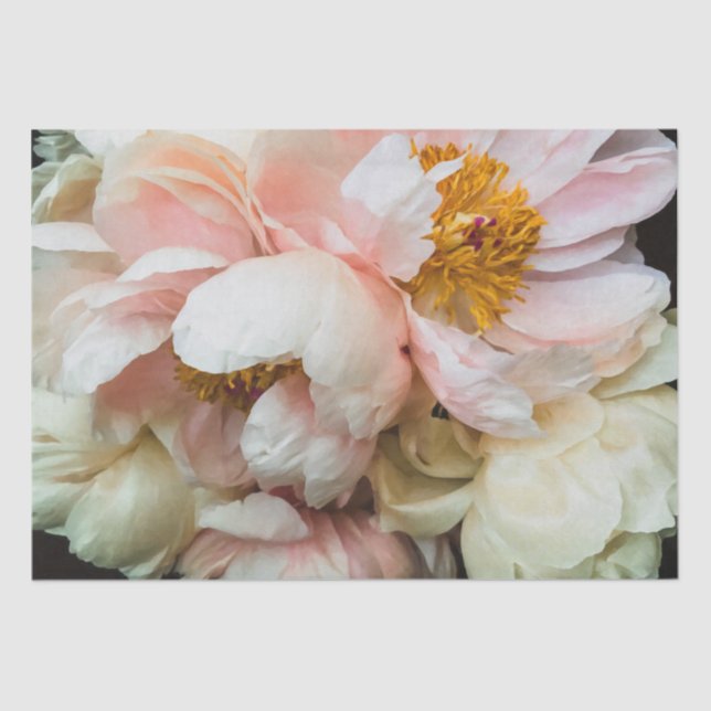 Elegant Blush Pink Peonies Tissue Paper (Front)