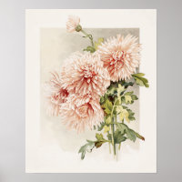 Elegant Blush Pink Vintage Chryanthemums