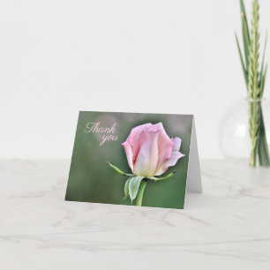 Elegant Blush Rose Thank You Card