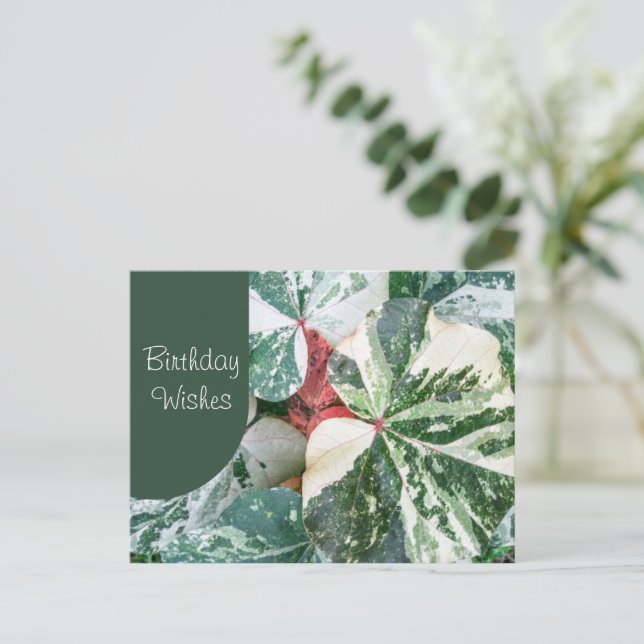 Elegant Botanical Birthday Wishes Postcard (Standing Front)