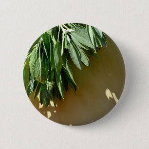 Elegant botanical green herbs leaves sage 6 cm round badge