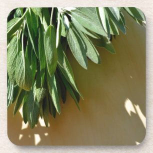 Elegant botanical green herbs leaves sage coaster