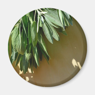 Elegant botanical green herbs leaves sage magnet