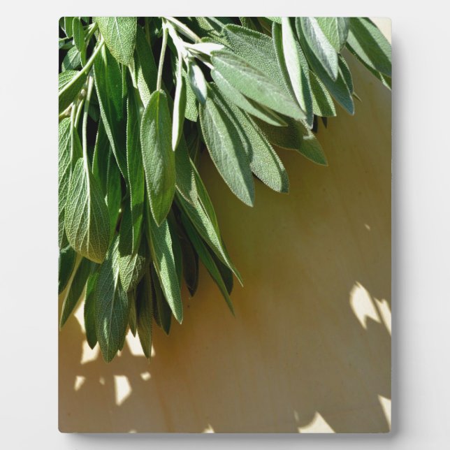Elegant botanical green herbs leaves sage plaque (Front)
