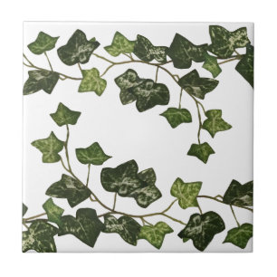Elegant Botanical Ivy Ceramic Tile