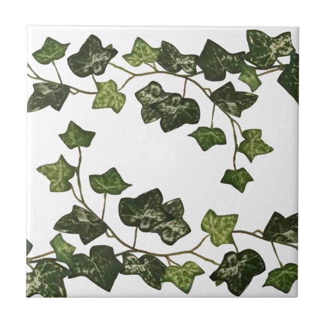 Elegant Botanical Ivy Ceramic Tile (Front)