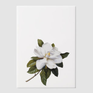 Elegant Botanical Magnolia Cover Sheet Vellum Invitations