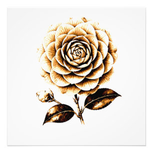 Elegant Bronze Rose Floral Illustration Wood Art Photo Print