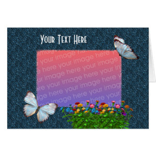 Elegant Butterflies And Zinnia Flowers Photo