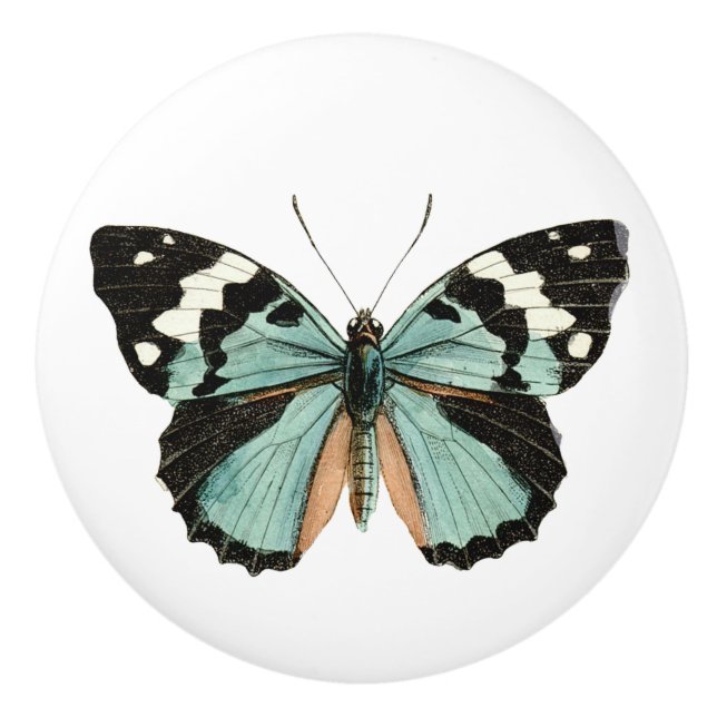 Elegant Butterfly Teal White Ceramic Knob (Front)