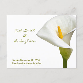 Elegant Cala Lily - Save the Date white Announcement Postcard
