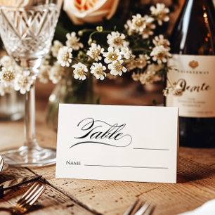 Elegant calligraphy modern place cards