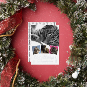 Elegant Cat Photo Collage Silver Foil Holiday Card