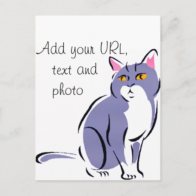 Elegant Cat Postcard (Front)