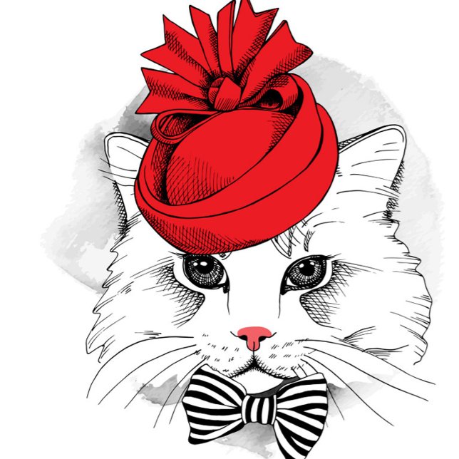 Elegant Cat T-Shirt (Illustration of a white cat wearing a red hat and a black and white striped bow. )
