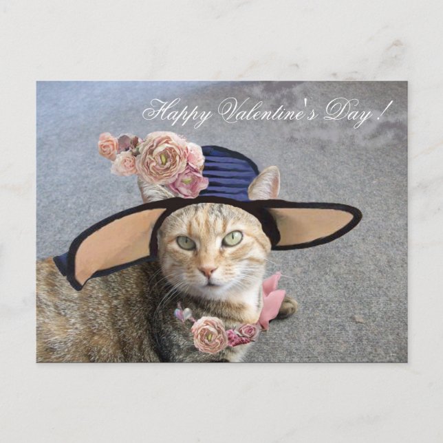 ELEGANT CAT WITH BIG DIVA HAT,PINK ROSES Valentine Holiday Postcard (Front)