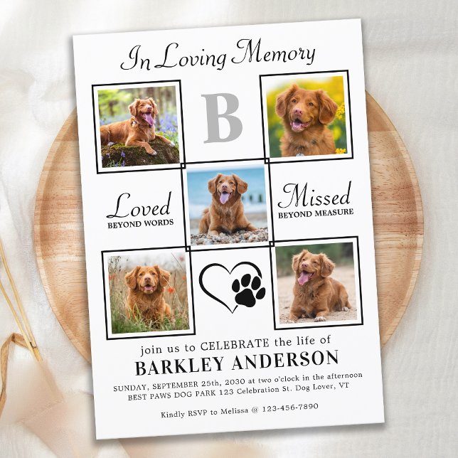 Elegant Celebration Of Life 5 Photos Pet Memorial Invitation (Creator Uploaded)