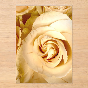 Elegant Champagne Rose Macro Acrylic Invitation