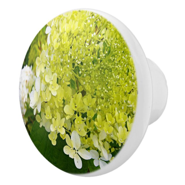 Elegant Chartreuse Green Limelight Hydrangea Ceramic Knob (Right)