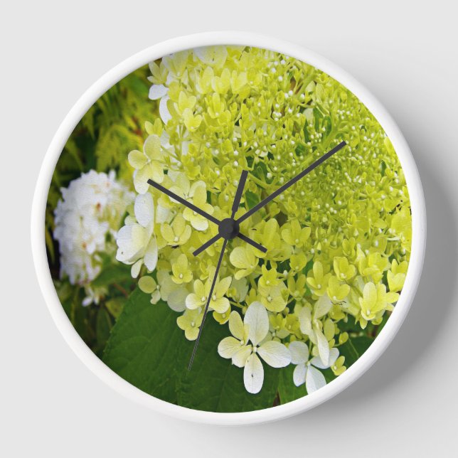 Elegant Chartreuse Green Limelight Hydrangea Clock (Front)