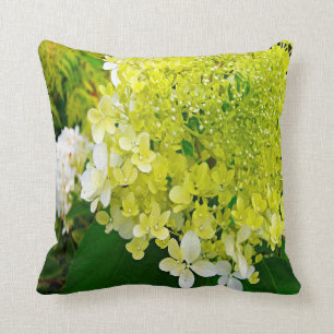 Elegant Chartreuse Green Limelight Hydrangea Cushion